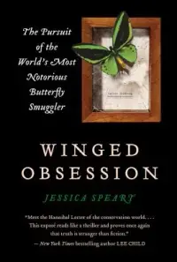 在飛比找博客來優惠-Winged Obsession: The Pursuit 