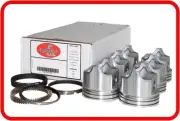 94-97 Dodge/Chrysler MiniVans 232 3.8L OHV V6 (6)Dish Pistons & Rings (020 040)