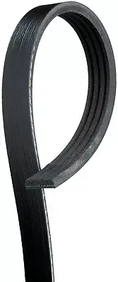 For 2004 Fiat Palio 1.6L Serpentine Belt Gates 159EQ58 (for: Fiat)