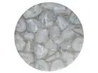 18" White Agate table Top Marble semi precious stones pietradura home decor