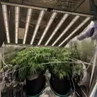 Phlizon 640W w/Samsung 281b LED Grow Light UV/IR Full Spectrum Commercial Plants
