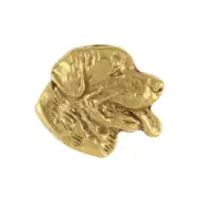 Rottweiler, Rott, Rottie II - gold-plated pin brooch, elegant dog ornament, uniq