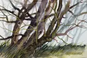 Pamela Wilhelm Watercolor 5”x7” Winter Leaning Trees With New Growth Twigs