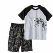 Wonder Nation Boy's 2 Piece Pajama Sleepwear Set (X-Small 4/5, Light Grey...