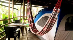 Manu Backpackers Camp