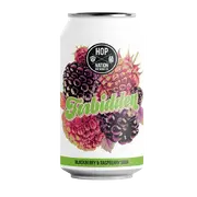 Hop Nation Forbidden Blackberry & Raspberry Sour 375ml Can