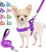 Lukovee Easy Walk Dog Harness and Leash, Heavy Duty Adjustable Puppy Harness Soft Padded Reflective Vest Harness Anti-Twist 4FT Pet Lead Quick Fit Lightweight for Small Dog Cat (XX-Small, Purple)