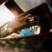 Set 2Pcs Quest Squad Dragon Rearview Mirror Decal Funny ACOTAR Fourth Wing Bookish Decal New Car Water Bottle Laptop Window Vinyl Waterproof 1,8x2 Inches Car Decals Gift for Friend Coworker Dad Mom