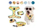 4-PIECE WALKIES BUNDLE [Pipco Pets] - Adjustable Dog Harness + Collar + Lead + Poo Bag Dispenser (Summer Melons)