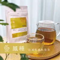 在飛比找樂天市場購物網優惠-【十菓茶】金鑽鳳梨包種茶 大茶包8入/件 冷凍乾燥水果茶 冷