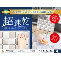 在飛比找SOGO istore優惠-[久保泰] TENMA珪藻土踏墊-M