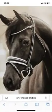 Finesse Cassidy Snaffle Bridle Cob with additional Crystal Browband