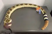 WILD REPUBLIC WESTERN DIAMONDBACK RATTLESNAKE PLUSH SNAKE STUFFED ANIMAL 54"