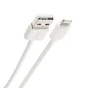Lightning Cable - 1m