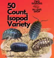 50+ Mixed Isopods | Armadillidium Vulgare & Nasatum | Bioactive CUC Vivarium