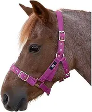 Hy Holly Fully Adjustable Head Collar (UK Size: Pony) (Pink)