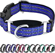 Hikiko Martingale Collar for Dogs Reflective Nylon Dog Collar with Quick Release Buckle Adjustable Training No Slip Dog Collar (Small, Blue)