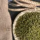 台灣品種～印尼栽種【淳歆】毛綠豆/Mung Bean 600g (超取限重5㎏)