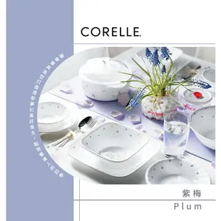 【美國康寧 CORELLE】紫梅900ml拉麵碗