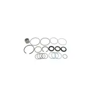 Sunsong Steering Gear Rebuild Kit For 1977-1980 Chevrolet Monza