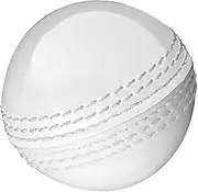 Gunn & Moore Skills Cricket Ball