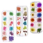 3x 12 Grid Box Manicure Dry Flower Handmade DIY Nail Patch Dry Flower Snowballs