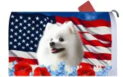 Japanese Spitz Patriotic Mail Box Cover
