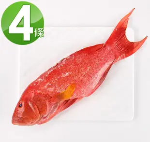 【華得水產】空運燕尾紅條魚4條組(500-600g/條)