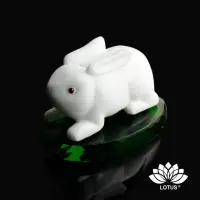 在飛比找momo購物網優惠-【LOTUS 蓮花】小白兔