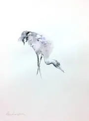 Kranich, Birds, Watercolor artwork, Handmade, Original painting on paper