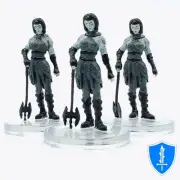 Gate Warden x3 - Planescape Adventures in the Multiverse #22 D&D Icons of Realms