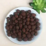 PEBBLES CLAY BALLS 8-11mm FOR BONSAI SUCCULENTS GROWING FISH TANK HYDROPONIC