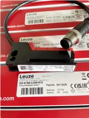 1pc Slot switch GS 61/6D.2-200-S12 + 2 m straight cable