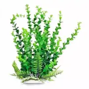 PD-BH31 Bacopa-like 6in weighted base Bag & Header, Green