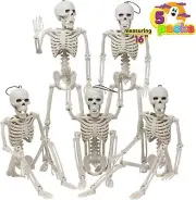 Halloween Skeletons Full Body Posable Joints 5 Packs Decorations Haunted House