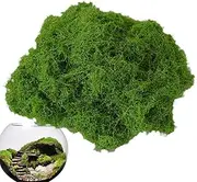 Green Moss Fake Craft Moss | Wool-Like Decorative Moss | Breathable Colorfast Fake Moss Artificial Moss