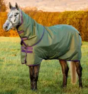 Amigo Hero Ripstop Plus Turnout Medium 200g - Bramble/Winterberry
