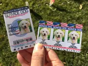 Service Dog Customized Holographic Id Card + Keychain Collar TAG ESA