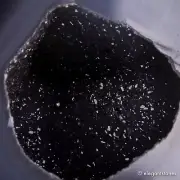 610g105mm Druzy Agate Geode Tower Point Natural Crystal Polished Quartz Healing