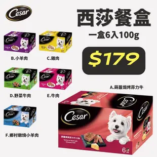 【914choice】西莎精緻風味餐盒  一盒6入組 (100g/入) 多口味 寵物 狗罐頭/濕糧