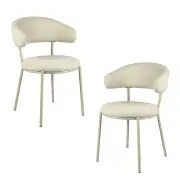 Raimon Furniture Set oF 2 Corbin Modern Kitchen Dining Side Chair metal Legs Shell