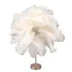 USB-C Ostrich Feather Bedside Lamp White Touch Switch Rechargeable