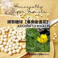 在飛比找蝦皮購物優惠-順勢糖球【春側金盞花●Adonis Vernalis】Hom