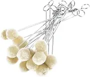 TEHAUX 10pcs Wool Dauber Leather dye Tool Lederf?rbewerkzeug Woll- Daubers- B? Leather DIY Crafts Brush Global Brush Dauber Ball Brush Dyeing Applicator Wool Ball Brush Paint Metal