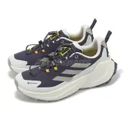 adidas x National Geographic Terrex Trailmaker 2 GTX Gore-Tex Women Trail JP7065