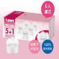 在飛比找蝦皮購物優惠-BWT德國倍世 Mg2+鎂離子長效濾芯 (5+1入)