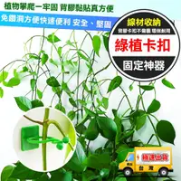 在飛比找蝦皮購物優惠-☆精品社☆【牆面固定卡扣】綠植攀爬夾扣 牆壁固定夾 隱形扣夾