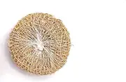 Spicado Traders (Khus) Ramacham Root Stress Relief Natural Body Coolant Natural Fragrance Organic body Bathing Scrubber - Pack of 3