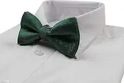 [Zasel] Mens Green & Silver Patterned Bow Tie Green, Silver