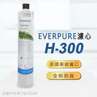 在飛比找momo購物網優惠-【Pentair】EVERPURE 美國原廠平行輸入 H30